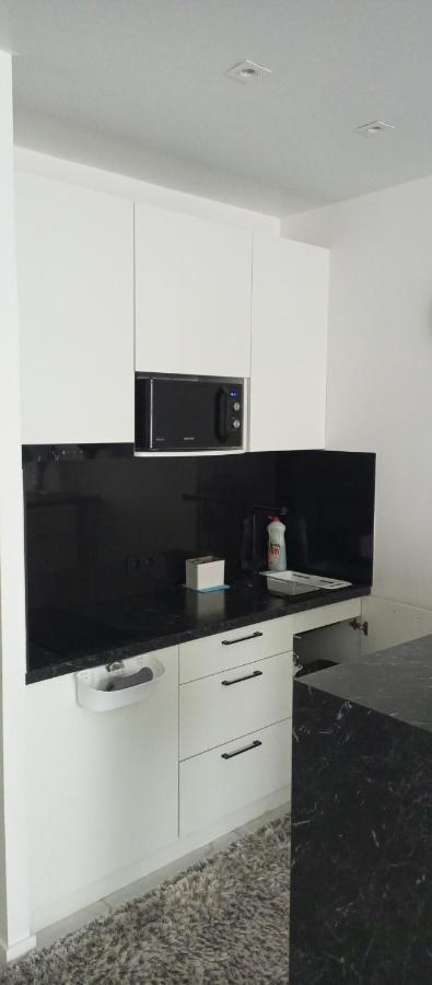New Modern Apartment Uzhhorod Bagian luar foto