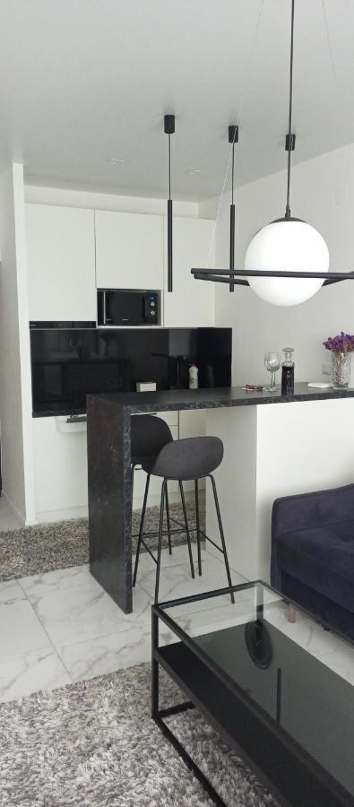 New Modern Apartment Uzhhorod Bagian luar foto